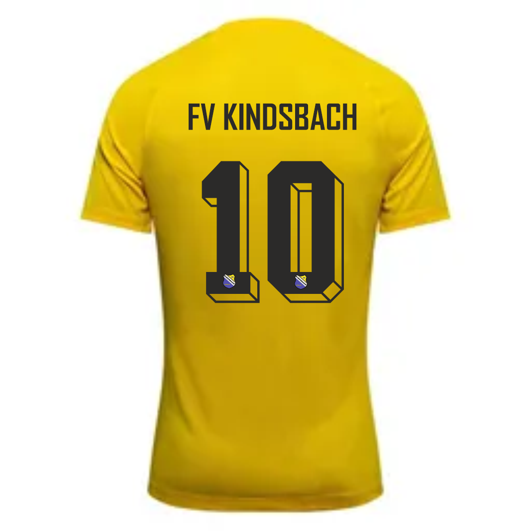 FVK Nike Park VIII Dri-FIT Trikot