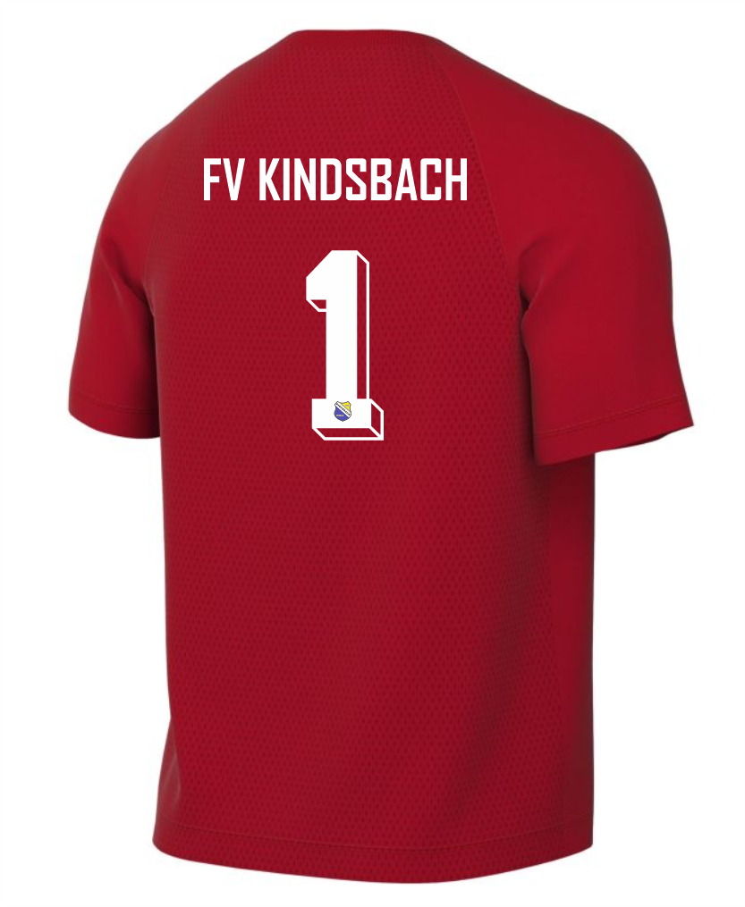 FVK Nike Park VIII Dri-FIT Trikot